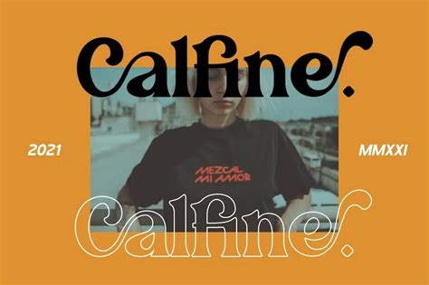 Calfine Stylish Modern Serif Font Design Shack