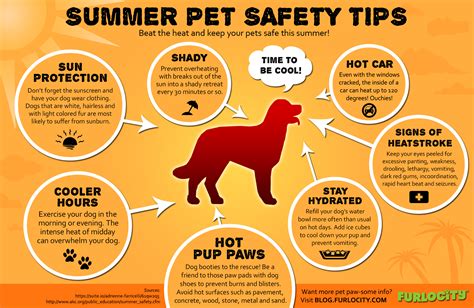 30 Infographics That Can Save Your Pet Pet Safety Tips Free