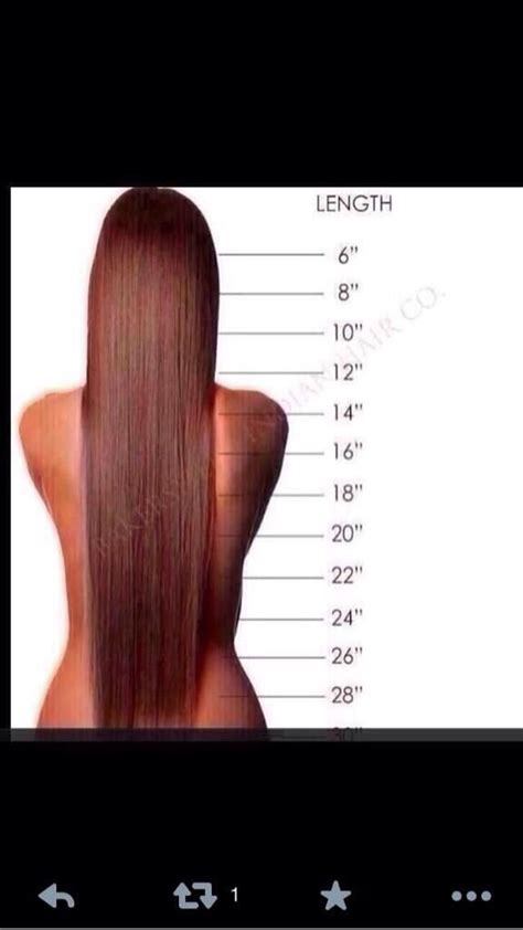 Hair Length Guide Hair Length Chart Hair Extension Lengths Hair