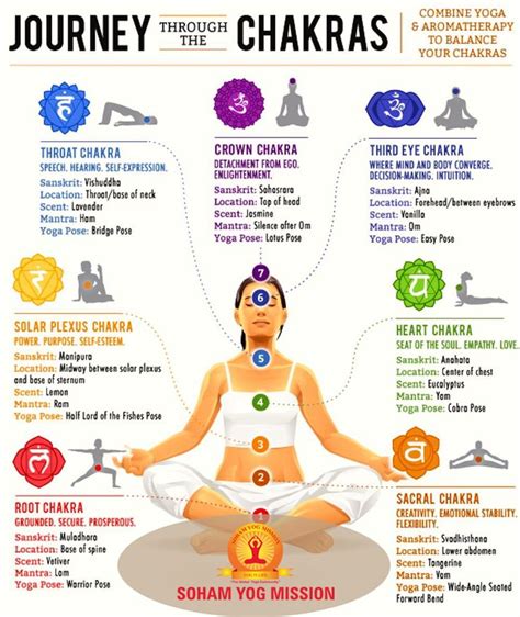 Journey Through The Chakras Chakra Yoga Chakra Meditation Chakra