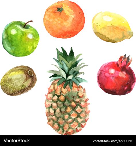 Watercolor Fruits Set Royalty Free Vector Image