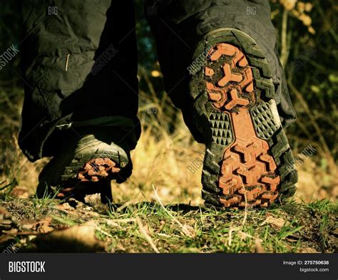 Hikers Boots On Forest Image And Photo Free Trial Bigstock