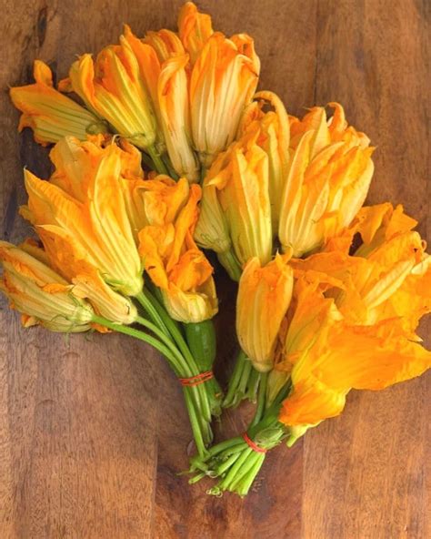 How to pick and cook zucchini flowers. Proud Italian Cook - Home Cooking, Italian American Style