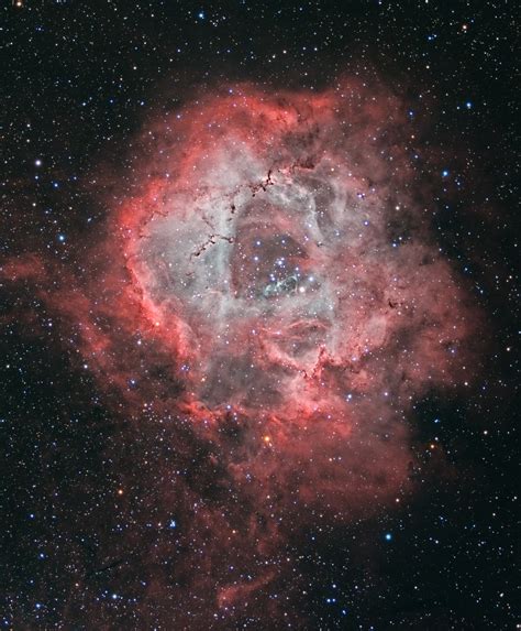 Una Rosa Còsmica La Nebulosa De La Roseta