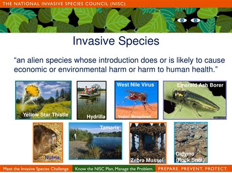 Ppt Invasive Species Central Questions And Opportunities Powerpoint