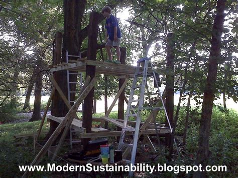 Modern Sustainabilityold Fashioned Methods How To Build A Tree