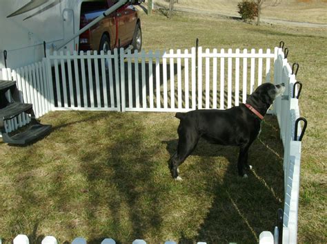 Dog Fence Ideas For Camping Demetria Kenny