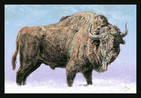 Bison Priscus Velizar Simeonovski Prehistoric Animals Prehistoric
