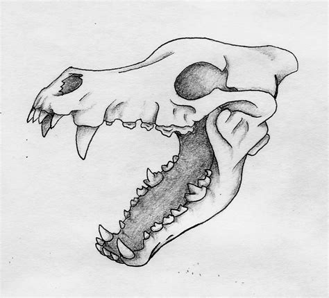 Wolf Skull By Cheethawolf On Deviantart