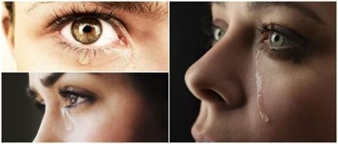 Ojos Llorosos Causas Síntomas Diagnóstico Tratamientos Y Prevención