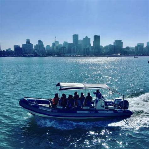 Durban 1 Hour Boat Cruise From Wilsons Wharf Getyourguide