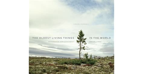 The Oldest Living Things In The World By Rachel A Sussman