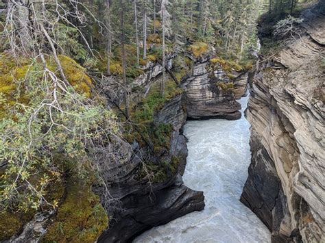 Athabasca Falls Jasper All You Need To Know Before You Go Updated