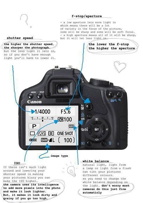 Learning Photography Basic Diagram Of A Canon Camera Canoncameras