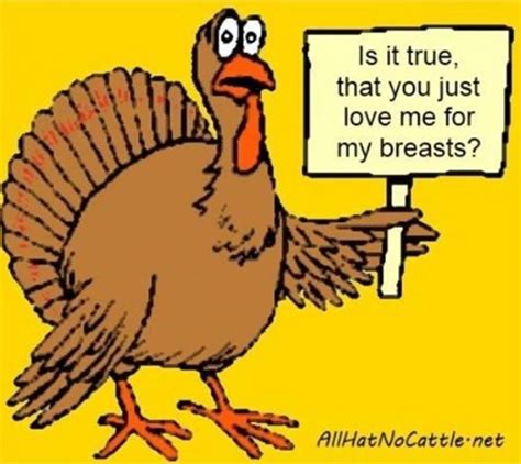 Funny Turkey Quotes Shortquotescc