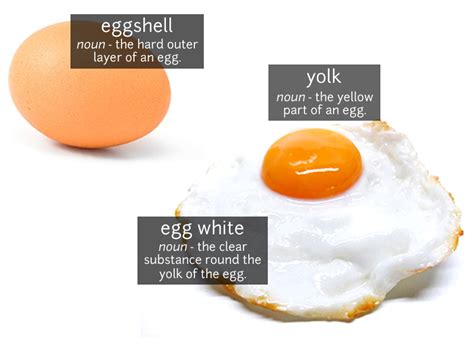 Egg Vocabulary Funky English
