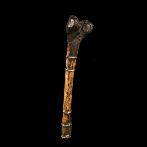 19th Century Sacred Bone Flute // Kangling, Tibet Ca. // 3 - Muzeion