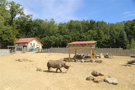 Cleveland Zoo Dedicates Renovated Rhino Reserve Before Its Re Opening