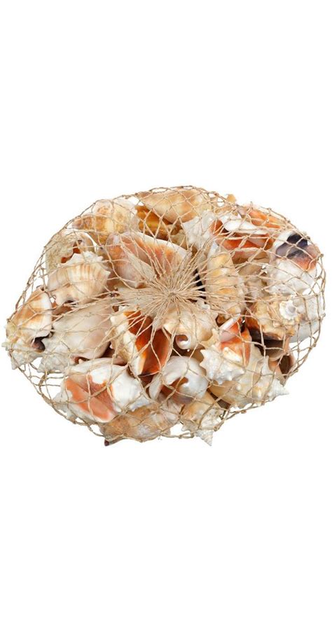 Assorted Seashell Bag Burkes Outlet