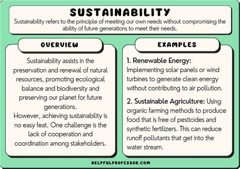 21 Sustainability Examples 2024