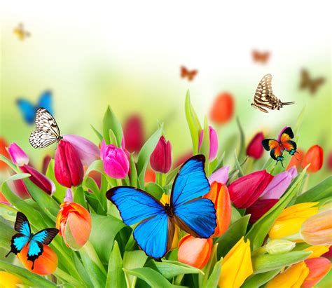 Bright Spring Flowers Desktop Wallpapers Top Free Bright Spring