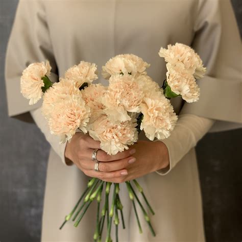 Carnation Bouquet Red Square Flowers