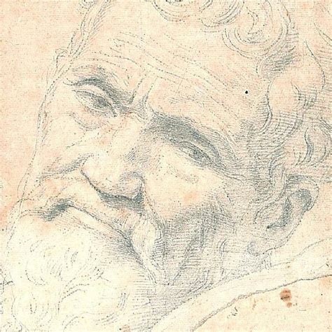 Portraits And Depictions Of Michelangelo Buonarroti
