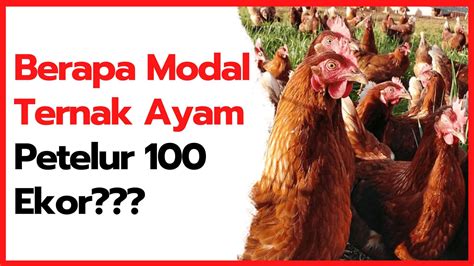 Biaya Pembuatan Kandang Ayam Petelur 1000 Ekor Archives Hobi Ternak