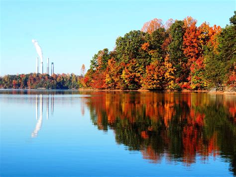 Fall Leaves at Belews Lake in Stokes County, NC | North carolina homes