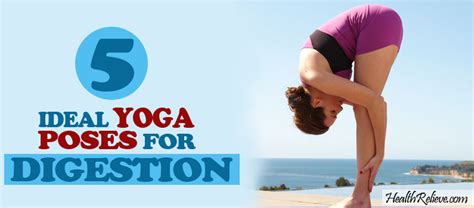 We did not find results for: 5 Ideal Yoga Poses for Digestion | HealthRelieve