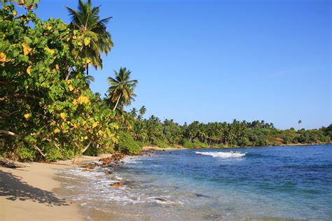 Hiriketiya Sri Lankas Most Beautiful Beach Mokum Surf Club