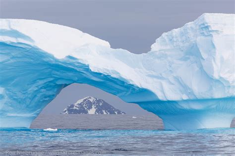 Cierva Cove Iceberg Antarctica Photos By Ron Niebrugge