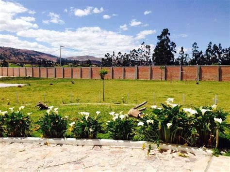 Venta De Casa En Cajamarca Cajamarca Bolsa Inmobiliaria Perú