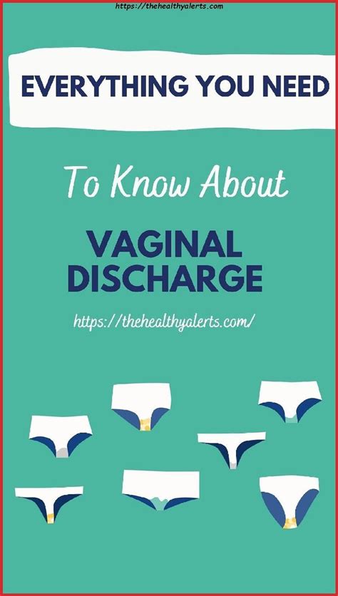 Totm Everything You Need To Know About Vaginal Discharge My Xxx Hot Girl