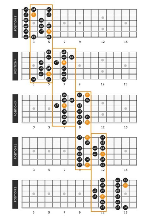 D Major Scale On Guitar Positions And Theory