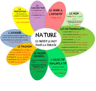 Nature et fonction d'un mot | La nature des mots, Nature ...