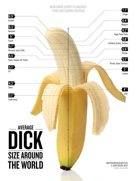 Visualizer Cock Size Comparison