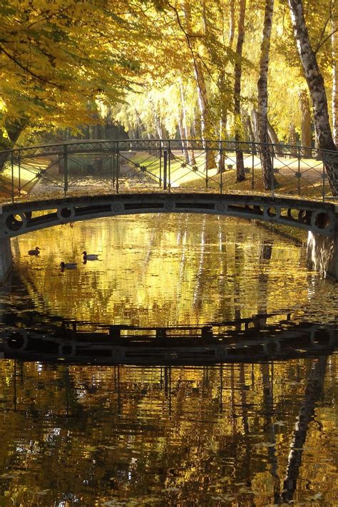 Iron golem spawn proof ; nichts-ist-wie-es-scheint - Brücke, Gold, Licht, Herbst ...