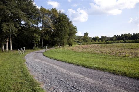 Unpaved Country Road And Pasture Stock Image Image Of Field