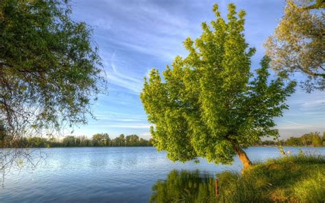Wallpaper Sunlight Trees Landscape Lake Nature Reflection Sky
