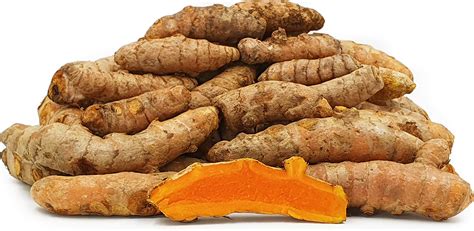 Turmeric Root Information Recipes And Facts