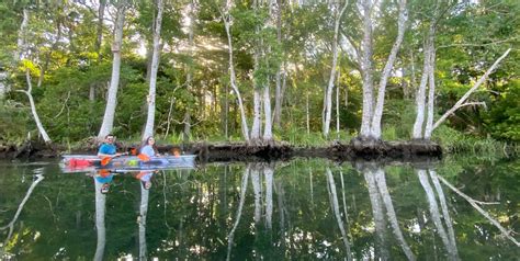 Clear Kayak Eco Tour On The Weeki Wachee River Tripshock