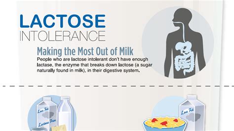 Why Most People Are Lactose Intolerant Health By Nature