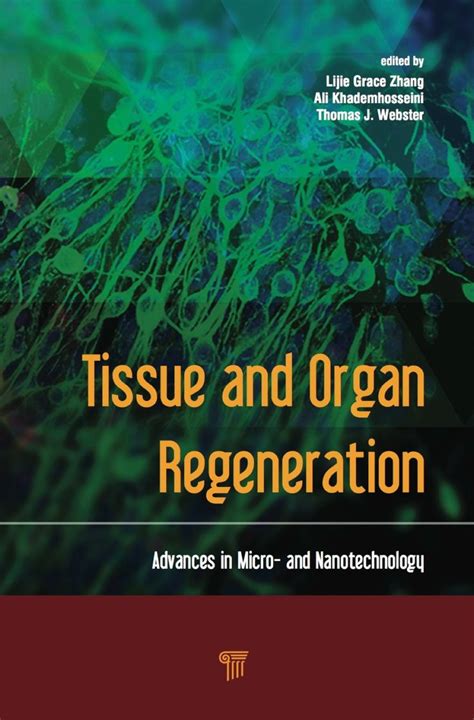 Tissue And Organ Regeneration Ebook Rental Nanotechnology New