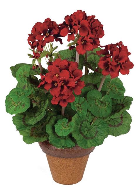 Outdoor planters and urns can be a majestic accent to a front door setting. Indoor/Outdoor Red Silk Geranium Potted Plant - 16" Tall ...