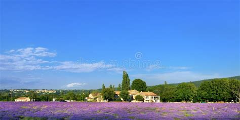 Provence France Stock Image Image Of Evening Farmland 56741239