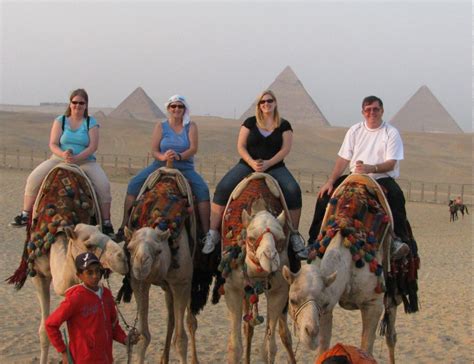 The old testament tells us in genesis 12:16 that abram had camels in egypt. Egypt 1509 Camels at Pyramids - Shiels Family History