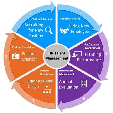 Talent Management Life Cycle Talent Management Human Resources Job