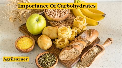 The reality is weight balance has much more to do with overall calorie intake than carbohydrate levels. Importance Of Carbohydrates - Agri learner