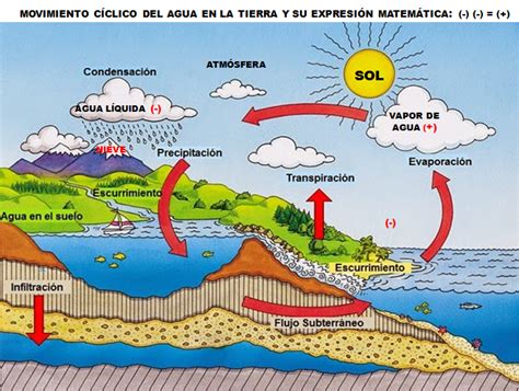 Que Es El Ciclo Del Agua Sus Fases Esquema Y Explicacion Images